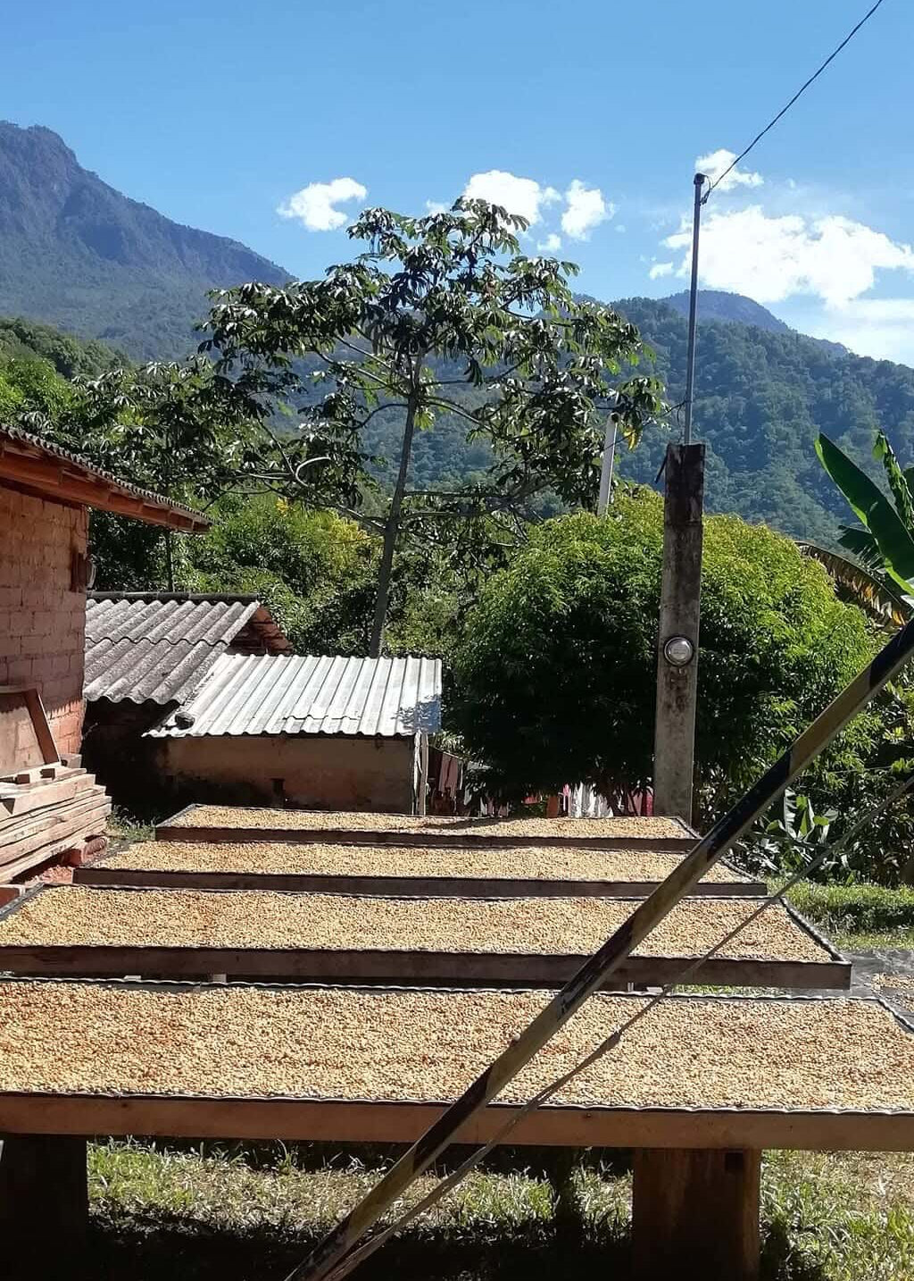 Gerardo López - Oaxaca