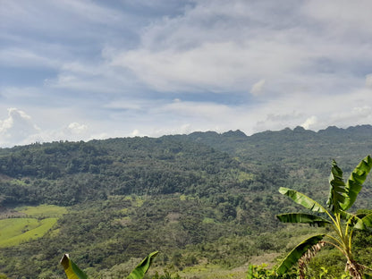 Maya Vinic - Chiapas