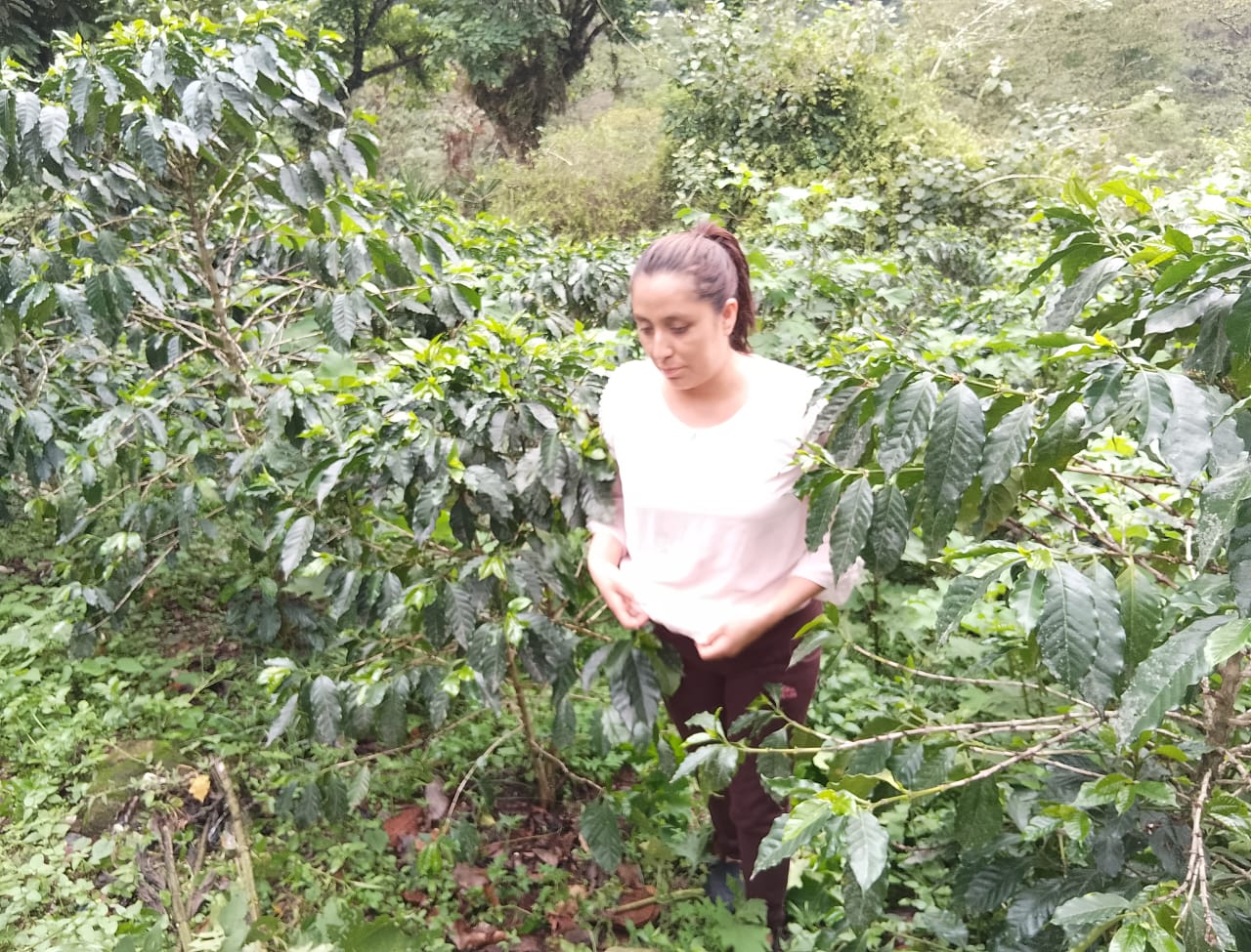 Aracely Manazo - Puebla
