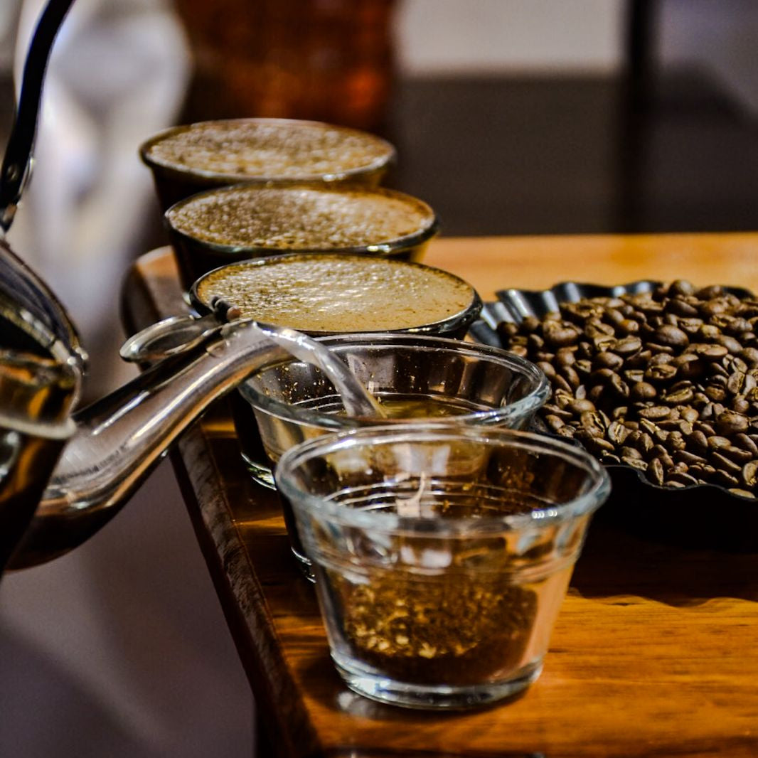 Cata de cafe de apex