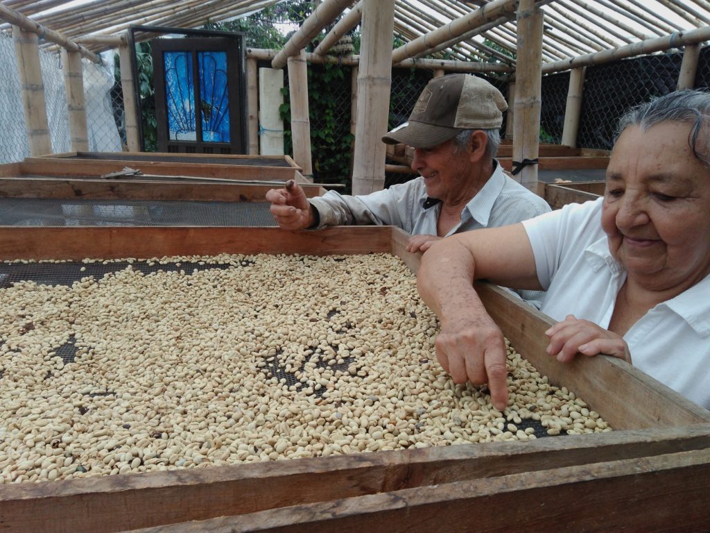Payanés - Colombia
